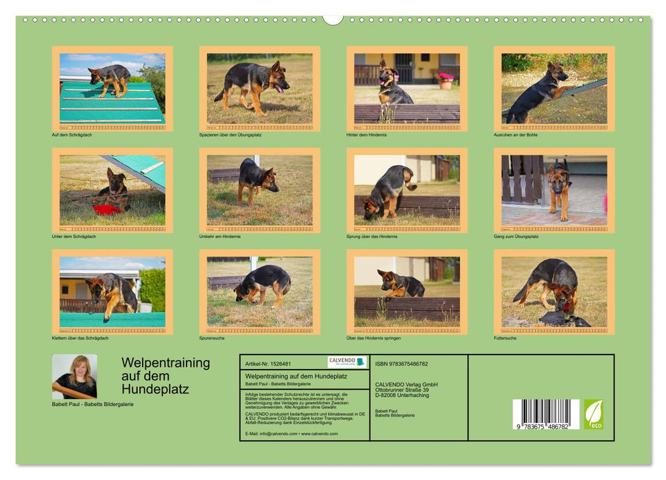 Welpentraining auf dem Hundeplatz (CALVENDO Premium Wandkalender 2024)