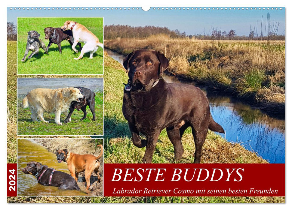 Beste Buddys (CALVENDO Wandkalender 2024)