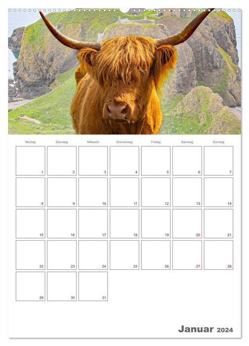 Schottland - Reiseplaner (CALVENDO Wandkalender 2024)