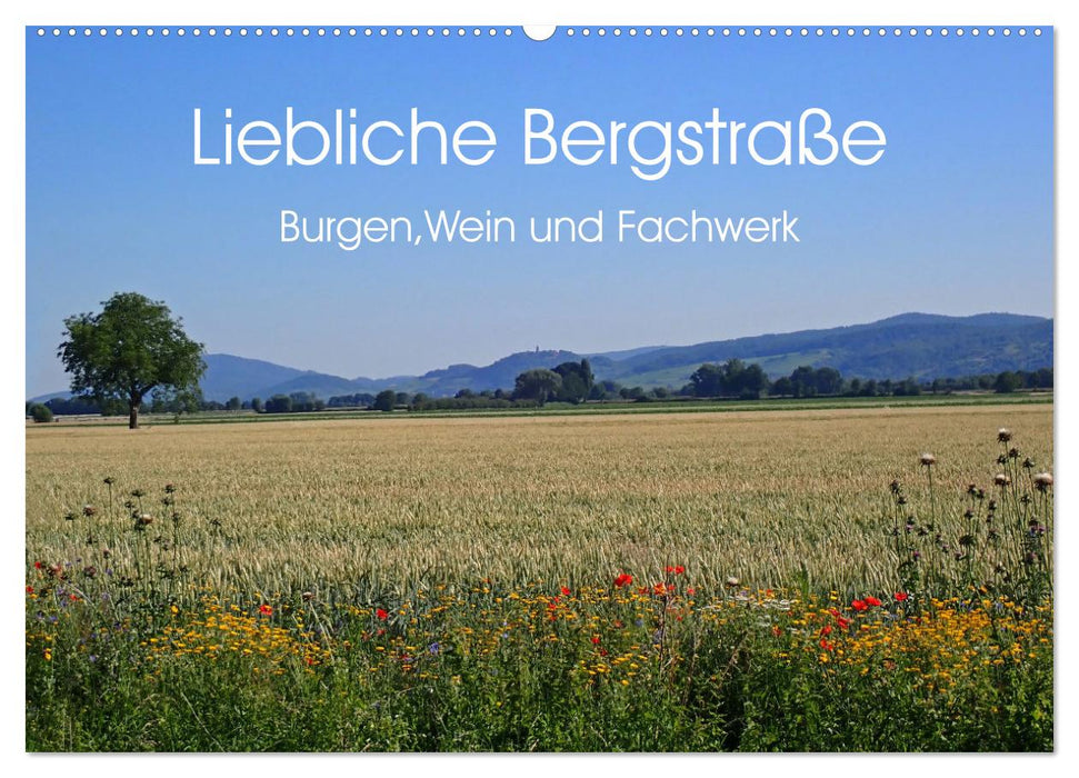 Liebliche Bergstraße - Burgen, Wein und Fachwerk (CALVENDO Wandkalender 2024)