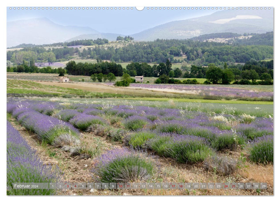 Die zarte Seite des Lavendels (CALVENDO Premium Wandkalender 2024)