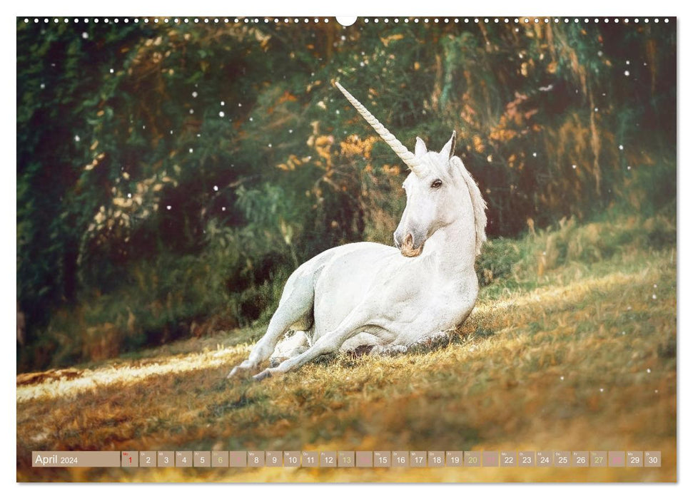 Einhorn Zauber - anmutige Einhornbilder (CALVENDO Premium Wandkalender 2024)