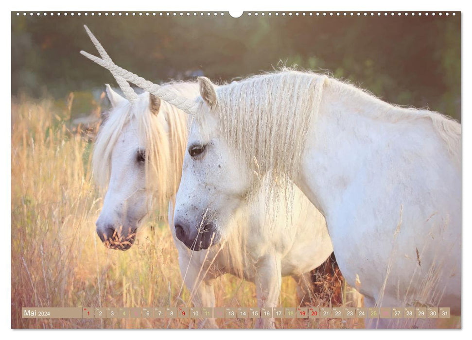 Unicorn magic - graceful unicorn pictures (CALVENDO Premium Wall Calendar 2024) 