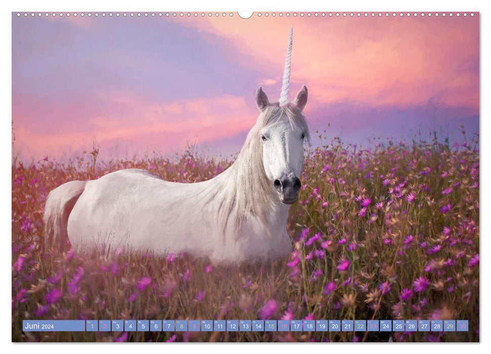 Unicorn magic - graceful unicorn pictures (CALVENDO Premium Wall Calendar 2024) 