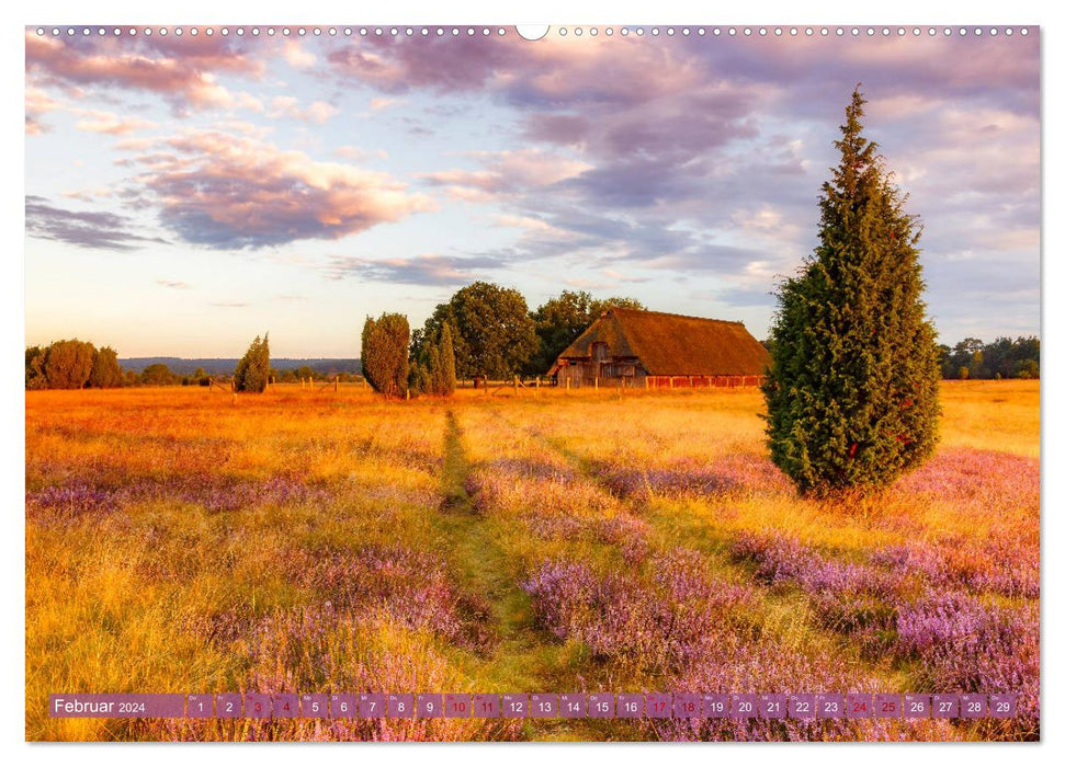 Romantic heather blossom (CALVENDO Premium wall calendar 2024) 