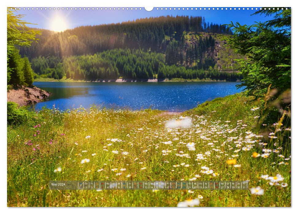 The fascination of the Thuringian Forest (CALVENDO wall calendar 2024) 