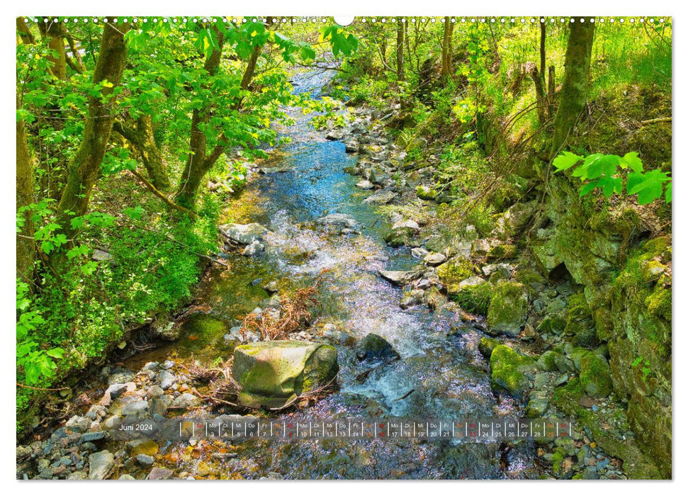 The fascination of the Thuringian Forest (CALVENDO wall calendar 2024) 