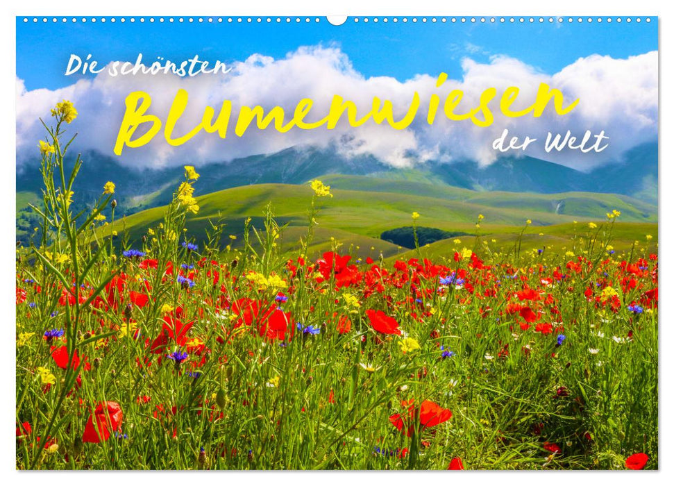 The most beautiful flower meadows in the world (CALVENDO wall calendar 2024) 