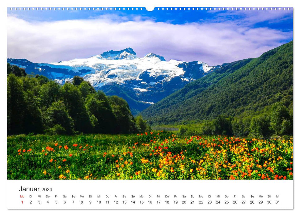 The most beautiful flower meadows in the world (CALVENDO wall calendar 2024) 