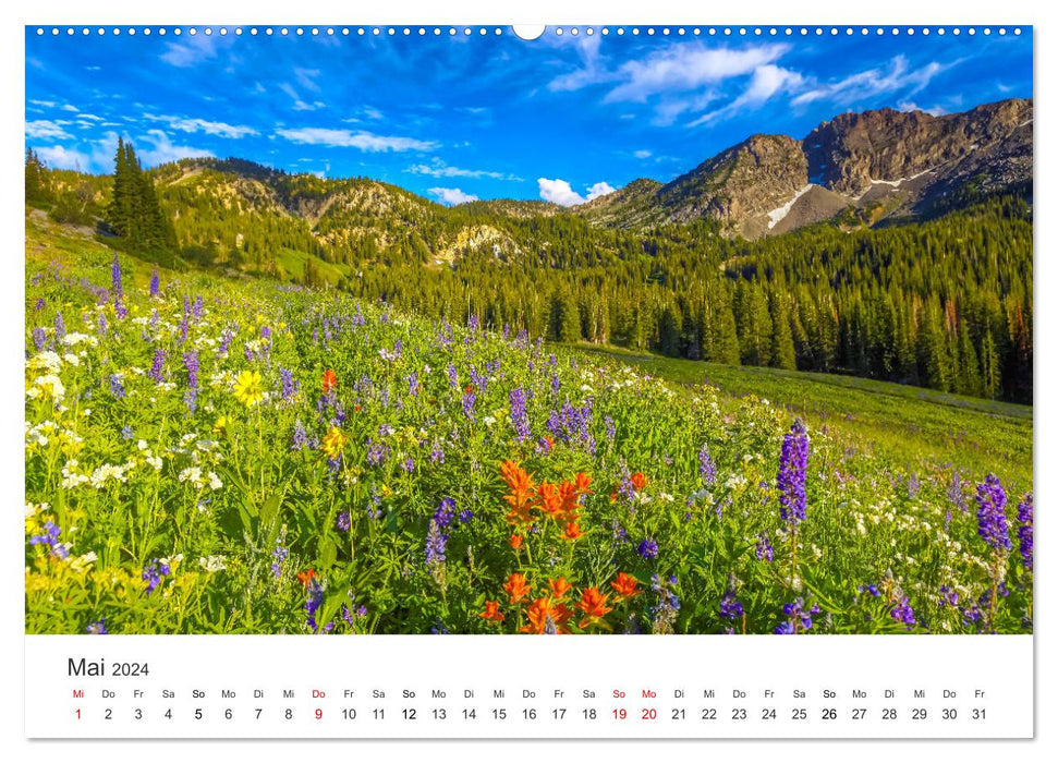 The most beautiful flower meadows in the world (CALVENDO wall calendar 2024) 