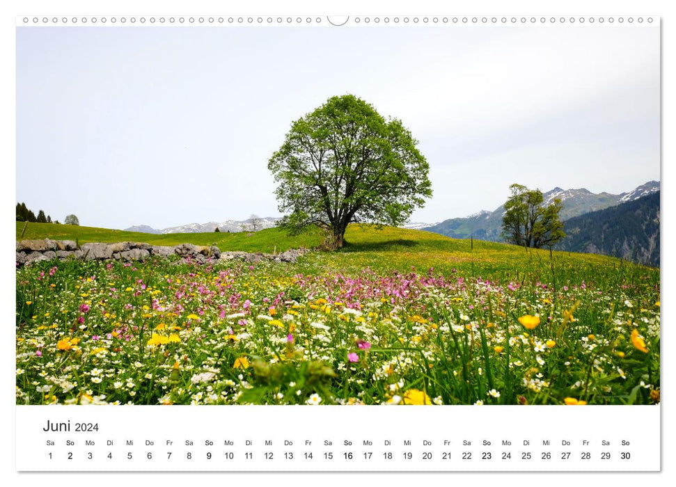 The most beautiful flower meadows in the world (CALVENDO wall calendar 2024) 