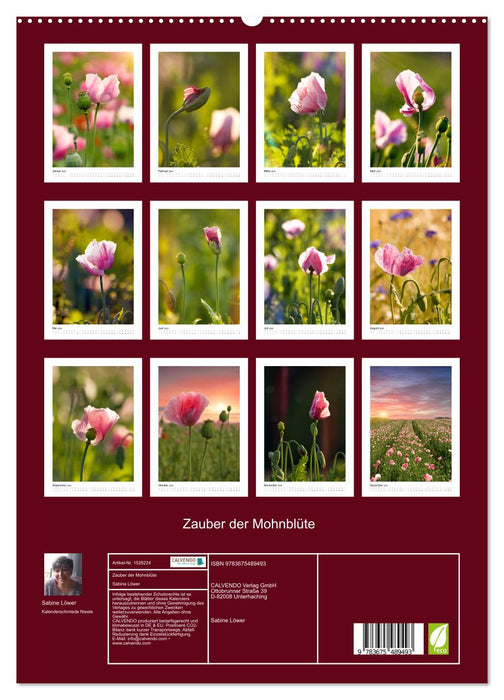 Magic of the Poppy Blossom (CALVENDO Premium Wall Calendar 2024) 