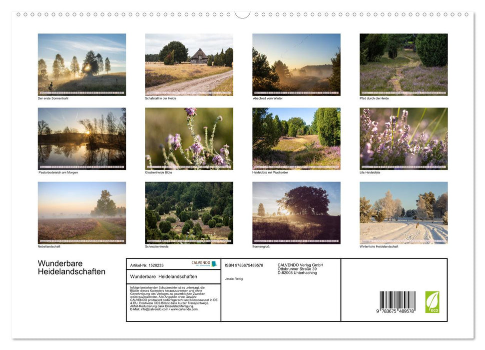 Wunderbare Heidelandschaften (CALVENDO Premium Wandkalender 2024)