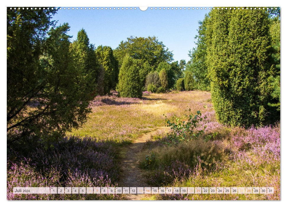 Wonderful heathland landscapes (CALVENDO Premium Wall Calendar 2024) 