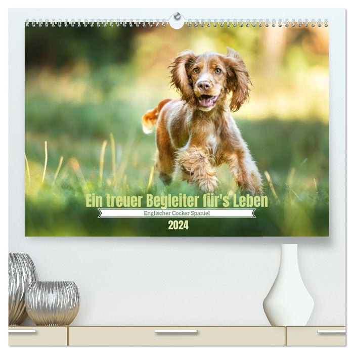 English Cocker Spaniel (CALVENDO Premium Wall Calendar 2024) 