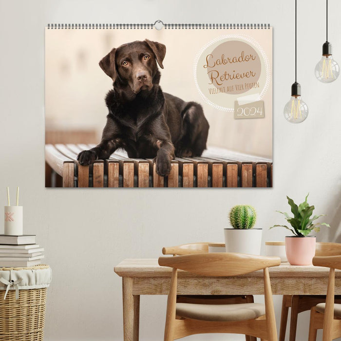 Labrador Retriever - Diversity on Four Paws (CALVENDO Wall Calendar 2024) 