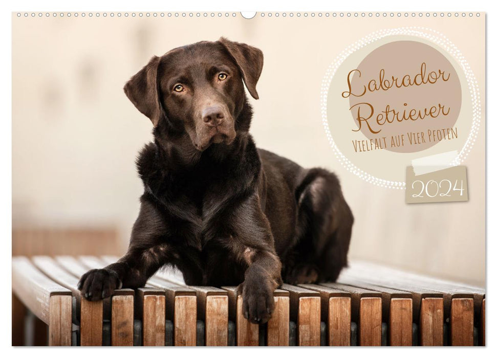 Labrador Retriever – La diversité sur quatre pattes (Calendrier mural CALVENDO 2024) 