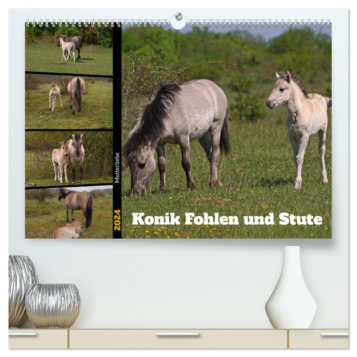 Mother's Love - Konik Foal and Mare (CALVENDO Premium Wall Calendar 2024) 