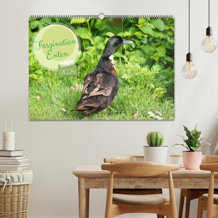 Fascination with ducks (CALVENDO wall calendar 2024) 