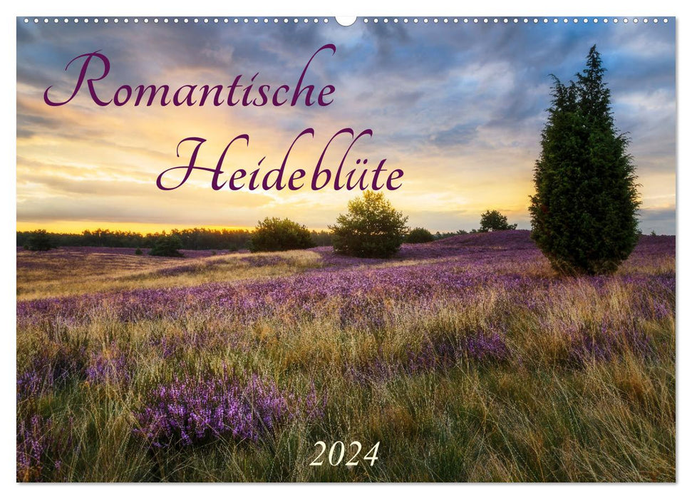 Romantische Heideblüte (CALVENDO Wandkalender 2024)