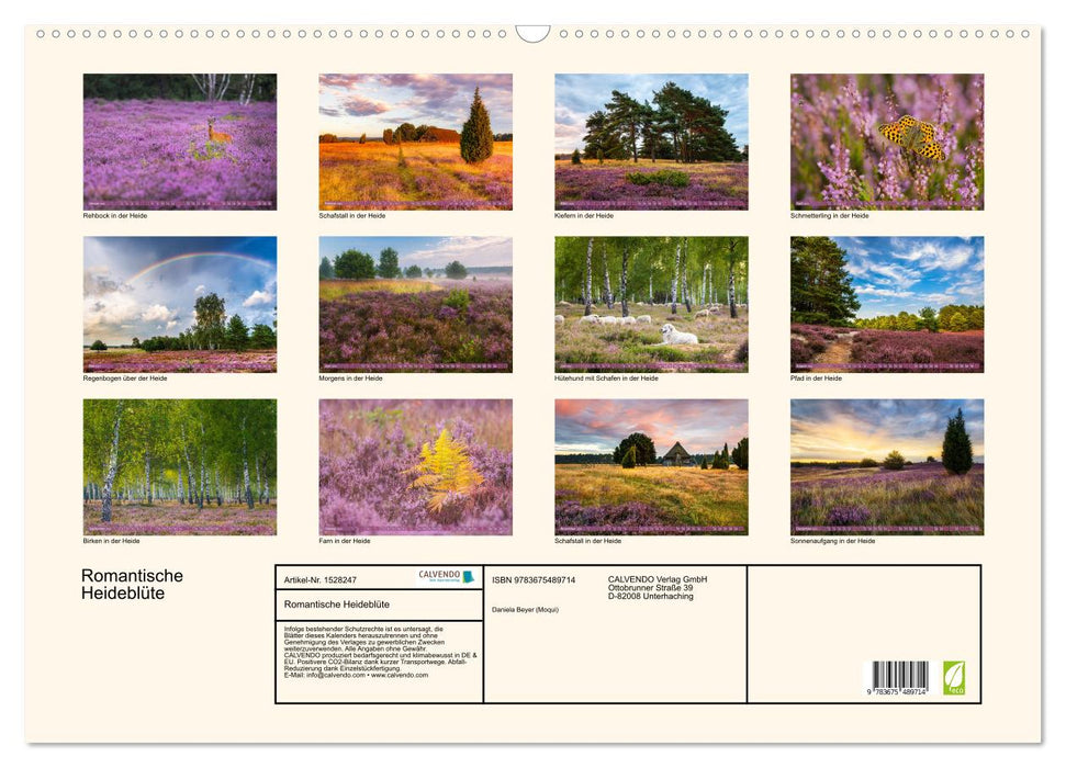 Romantic heather blossom (CALVENDO wall calendar 2024) 