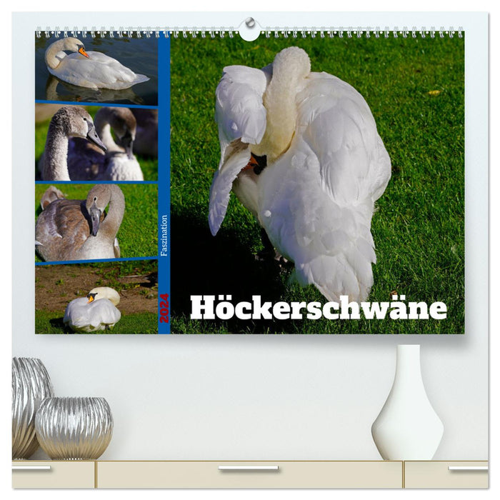 Fascination with Mute Swans (CALVENDO Premium Wall Calendar 2024) 