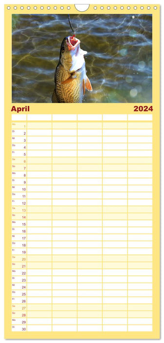 Anglerglück - den Fisch am Haken (CALVENDO Familienplaner 2024)
