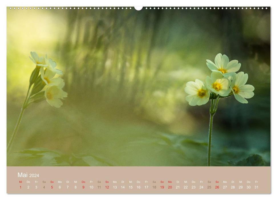 Fantastischer Frühling (CALVENDO Premium Wandkalender 2024)