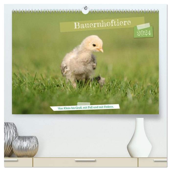 Farm animals - from small to large, with fur and feathers. (CALVENDO Premium Wall Calendar 2024) 