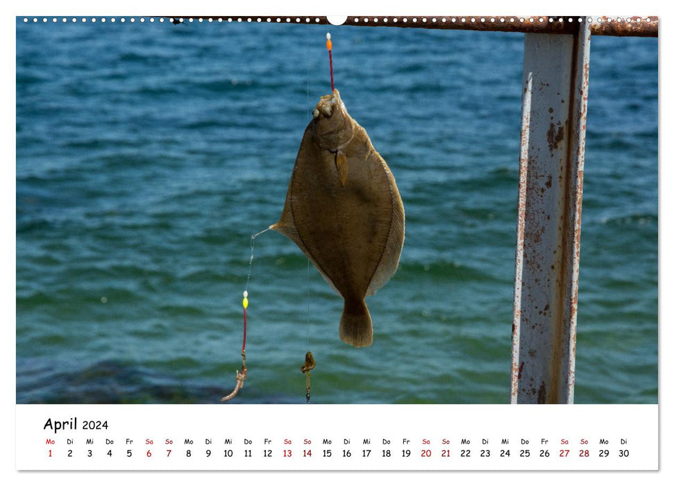 The harbor of Strande (CALVENDO Premium Wall Calendar 2024) 