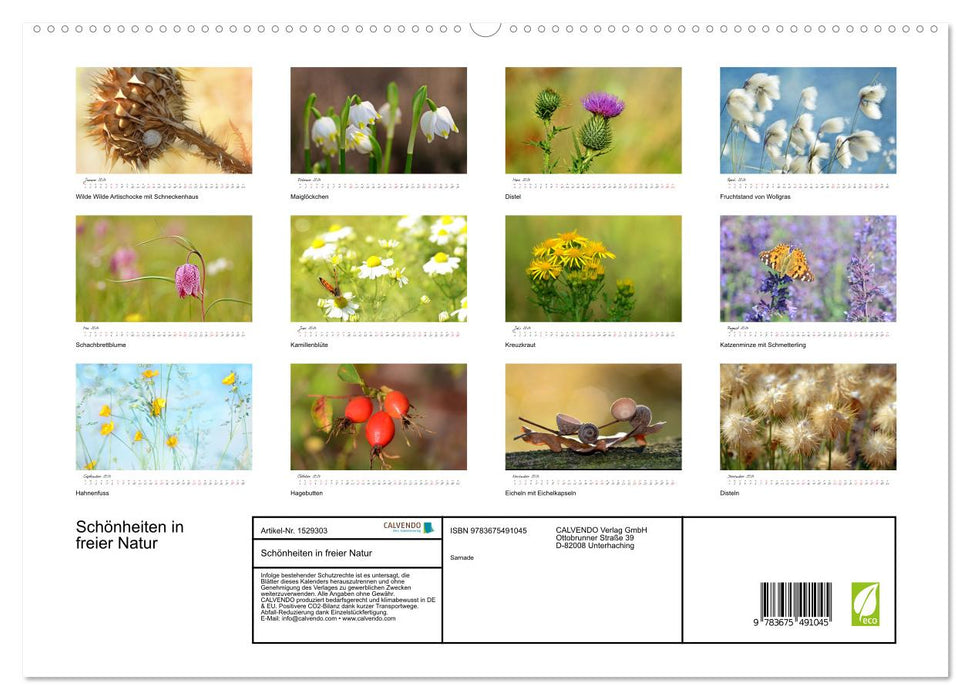 Schönheiten in freier Natur (CALVENDO Premium Wandkalender 2024)