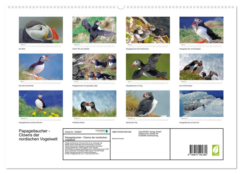 Papageitaucher - Clowns der nordischen Vogelwelt (CALVENDO Premium Wandkalender 2024)