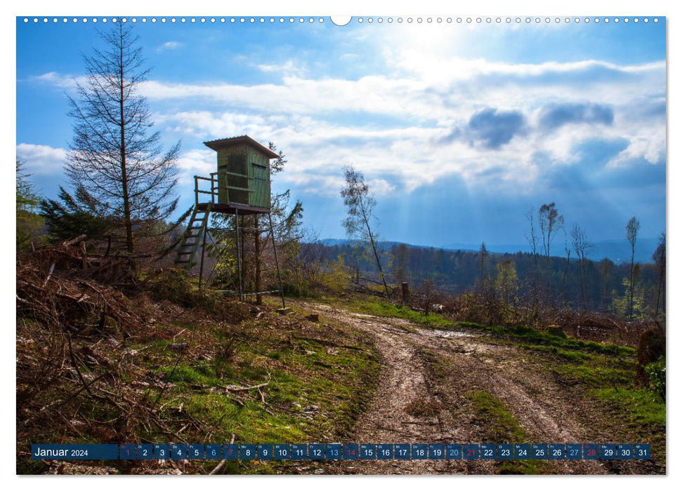 Unser Wald Stirbt (CALVENDO Premium Wandkalender 2024)