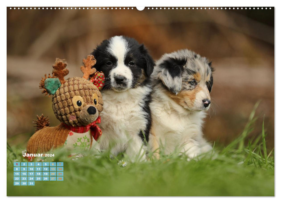 Lillyfee et un panier plein de bonheur (Calendrier mural CALVENDO Premium 2024) 