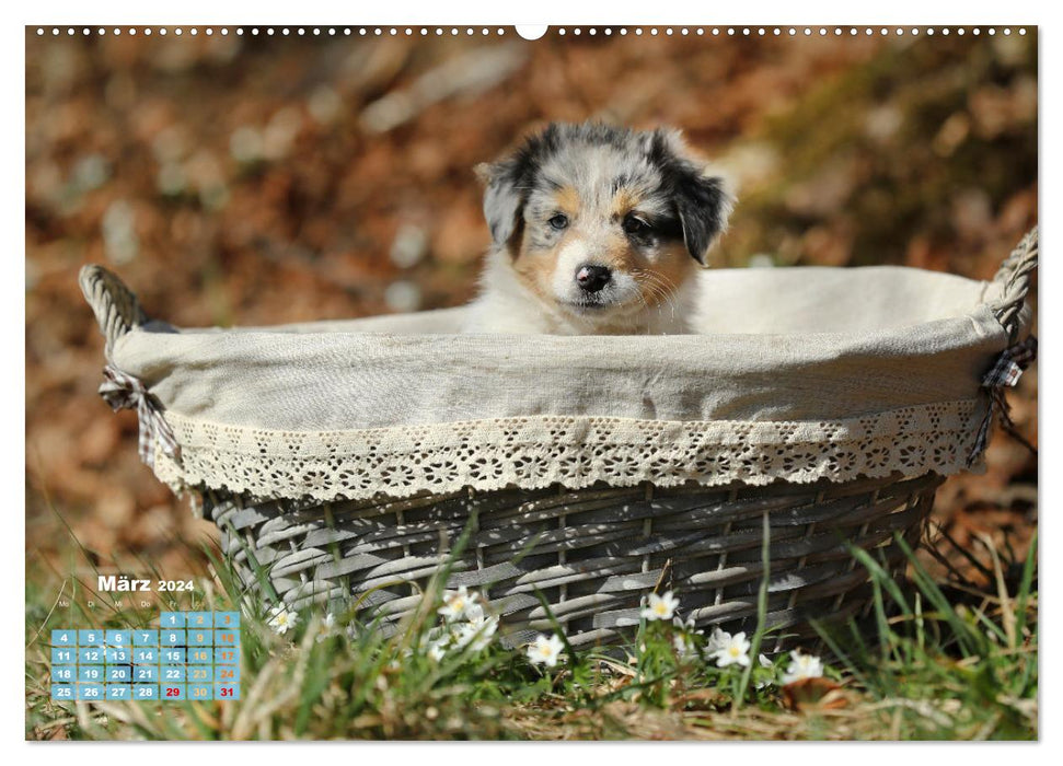 Lillyfee et un panier plein de bonheur (Calendrier mural CALVENDO Premium 2024) 