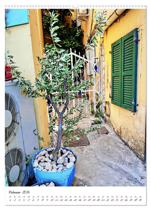 Faszinierende Olivenbäume (CALVENDO Wandkalender 2024)