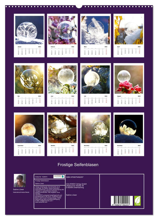 Frostige Seifenblasen (CALVENDO Premium Wandkalender 2024)
