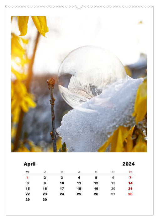 Frosty soap bubbles (CALVENDO Premium Wall Calendar 2024) 