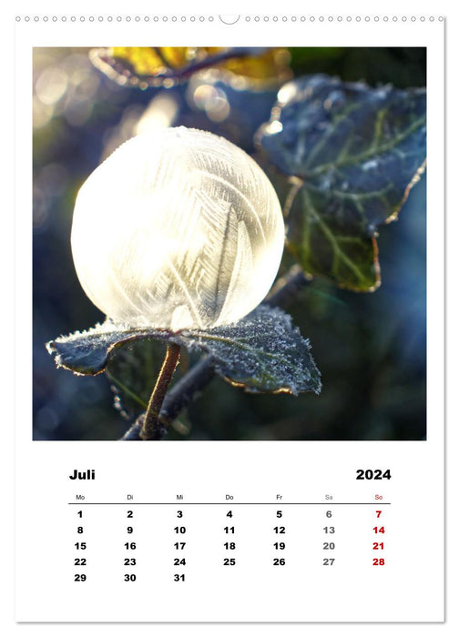 Frostige Seifenblasen (CALVENDO Premium Wandkalender 2024)