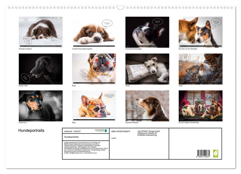 Hundeportraits, Hunde sind unsere besten Freunde by VogtArt (CALVENDO Wandkalender 2024)