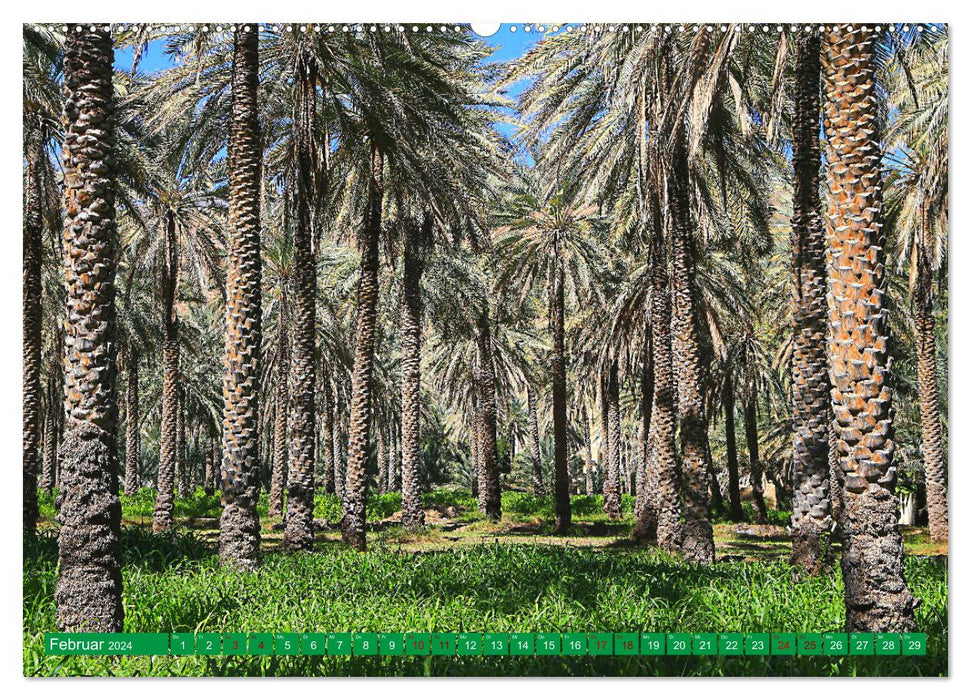 Unterwegs im Weihrauchland Oman (CALVENDO Wandkalender 2024)