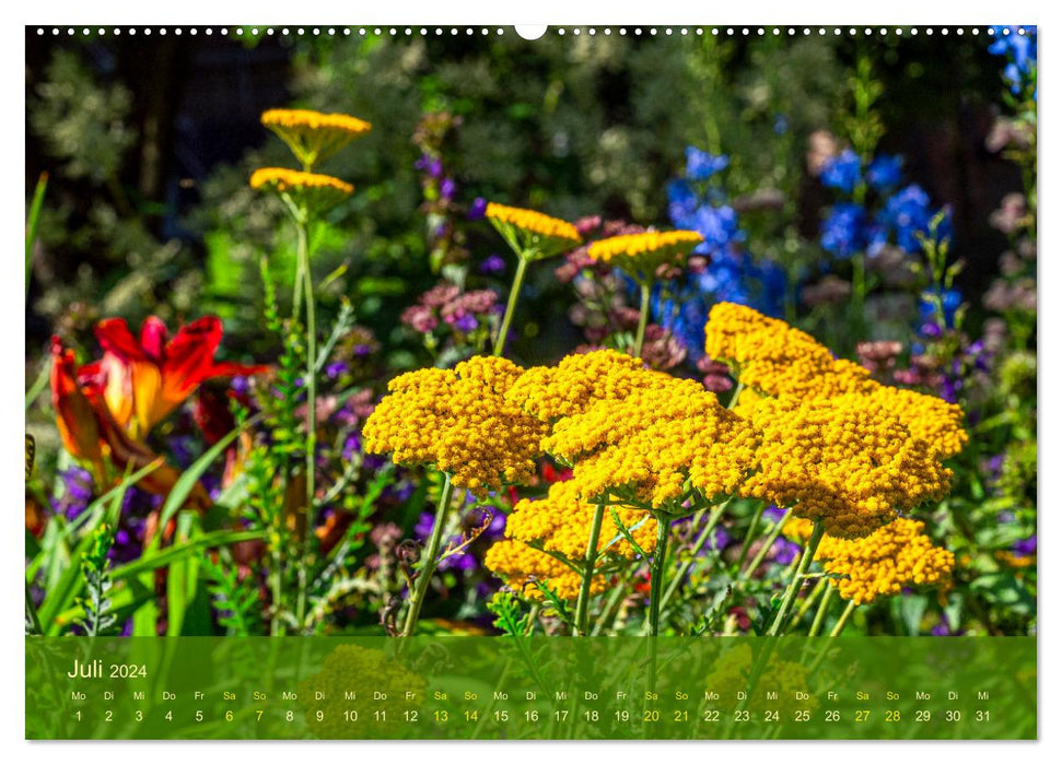der staudengarten zu bad hersfeld (CALVENDO Premium Wandkalender 2024)