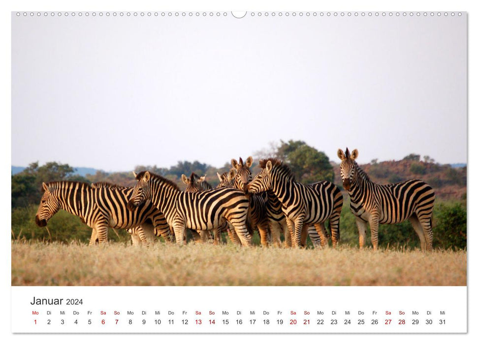 Botswana - Eine spannende Reise in ein wunderschönes Land. (CALVENDO Premium Wandkalender 2024)