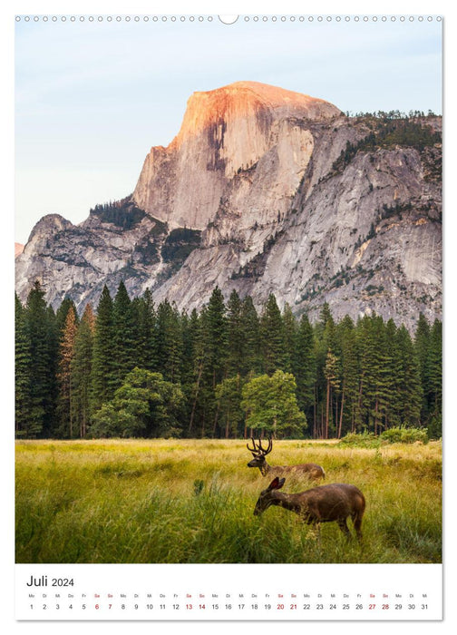 Yosemite Nationalpark - Einer der schönsten Orte der Welt. (CALVENDO Premium Wandkalender 2024)