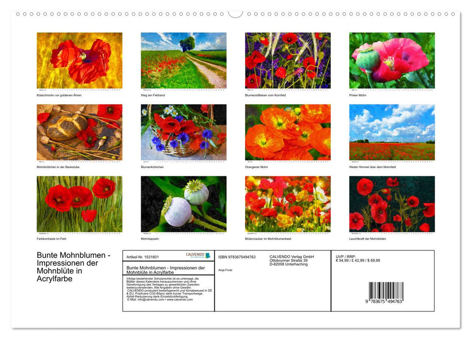 Bunte Mohnblumen - Impressionen der Mohnblüte in Acrylfarbe (CALVENDO Wandkalender 2024)