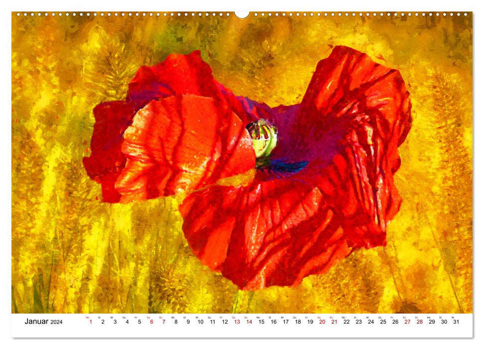 Bunte Mohnblumen - Impressionen der Mohnblüte in Acrylfarbe (CALVENDO Wandkalender 2024)