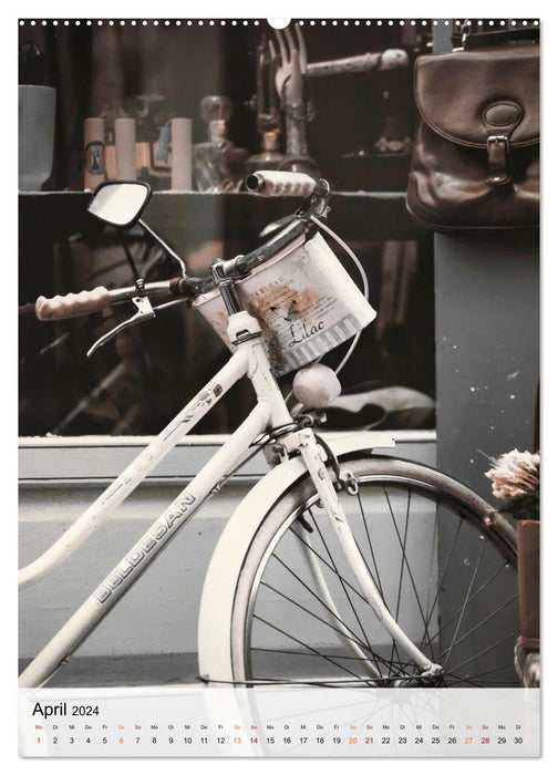 Fahrrad Alltag (CALVENDO Premium Wandkalender 2024)
