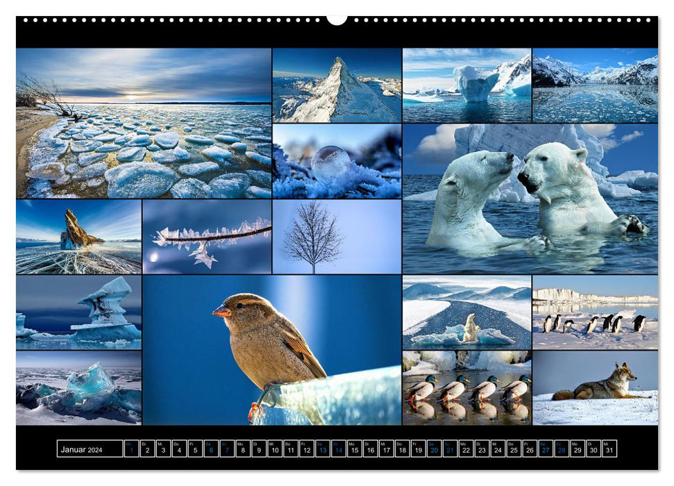 Color Symphonies of the Earth (CALVENDO Premium Wall Calendar 2024) 