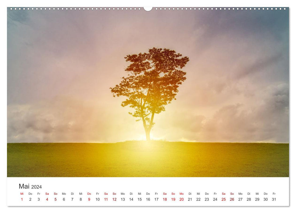 Sonnenaufgänge - Für einen guten Start in den Tag. (CALVENDO Premium Wandkalender 2024)