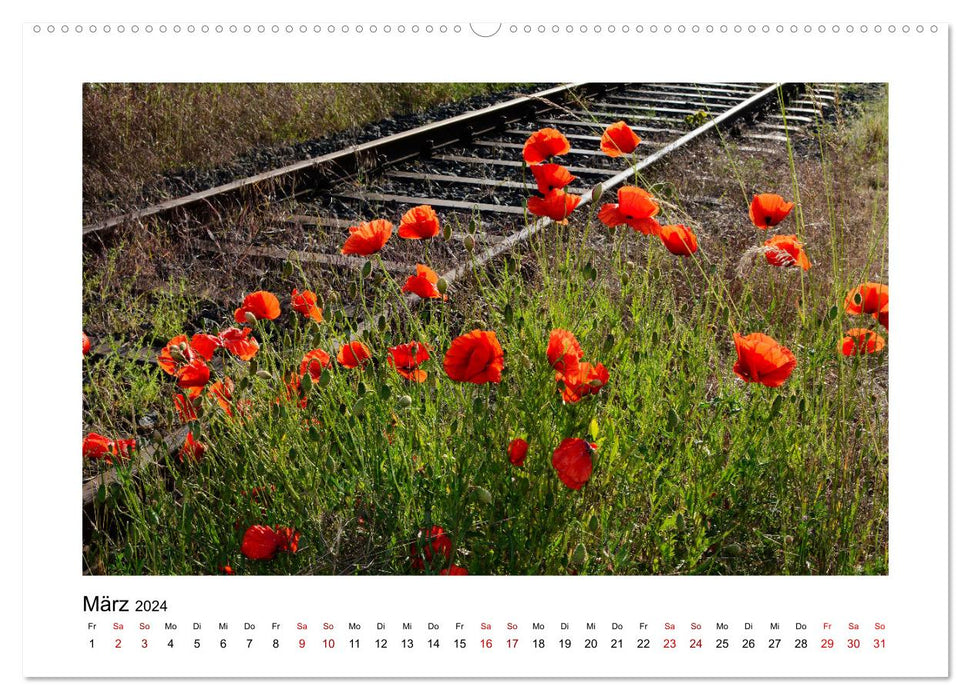 Atmospheric Rhön (CALVENDO Premium Wall Calendar 2024) 